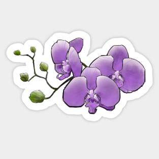 purple orchids Sticker